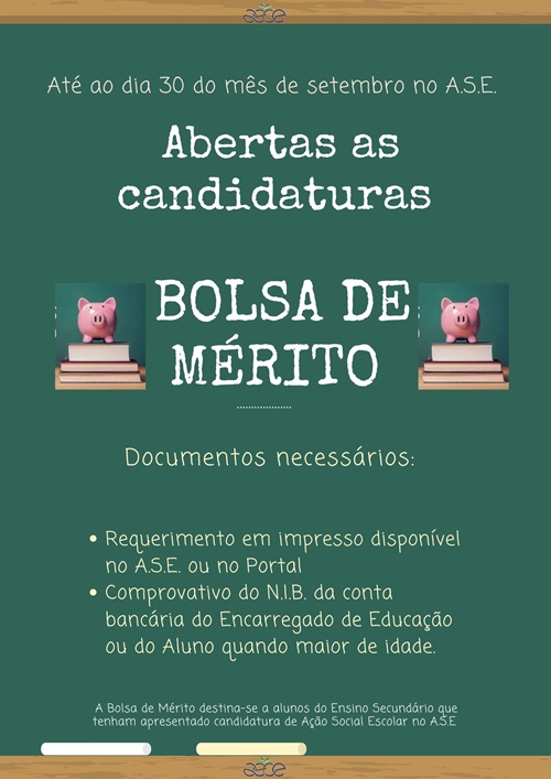 bolsa merito